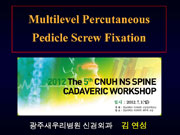 The 5th CNUH NS SPINE CADAVERIC WORKSHOP (2012,Gwang-Ju) 이미지